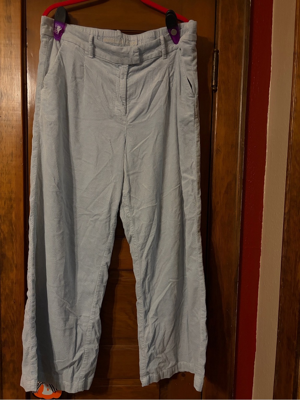 American Eagle Outfitters Light Blue Corduroy Wide-Leg Women's Pants